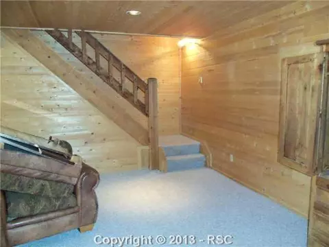 239 Aspen Cir, Divide, CO 80814 photo 9