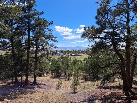 16095 Gollihar Rd, Peyton, CO 80831 photo 1
