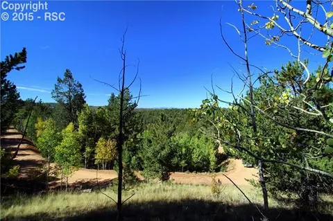 418 Calcite Dr, Divide, CO 80814 photo 8