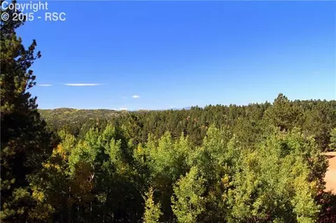 418 Calcite Dr, Divide, CO 80814 photo 3