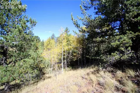 418 Calcite Dr, Divide, CO 80814 photo 1