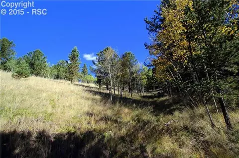 418 Calcite Dr, Divide, CO 80814 photo 4