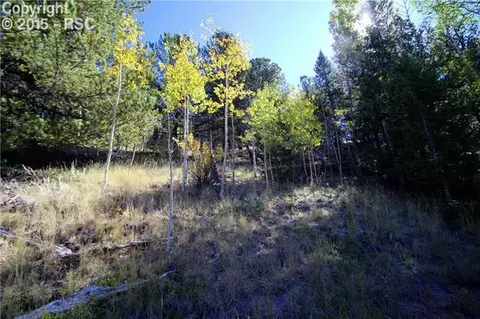 418 Calcite Dr, Divide, CO 80814 photo 9