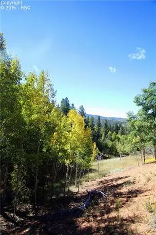 418 Calcite Dr, Divide, CO 80814 photo 2