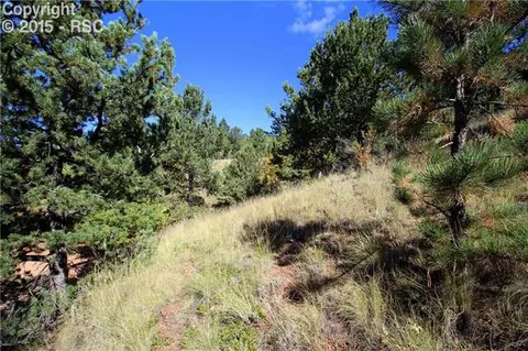 418 Calcite Dr, Divide, CO 80814 photo 5