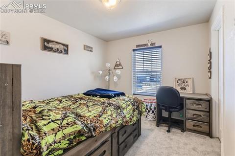 10223 Devoncove Dr, Peyton, CO 80831 photo 19
