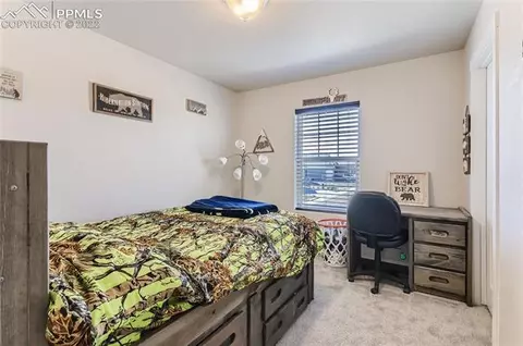 10223 Devoncove Dr, Peyton, CO 80831 photo 19