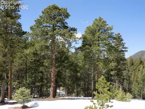 10 Robert Rd, Rye, CO 81069 photo 25