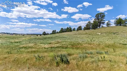 10958 Alamar Way, Colorado Springs, CO 80908