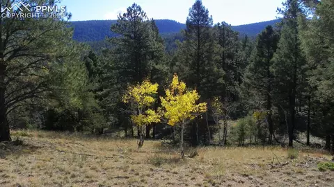 3817 Spruce Rd, Woodland Park, CO 80863
