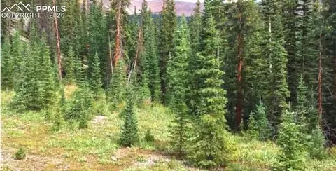 765 2a, Almont, CO 81210