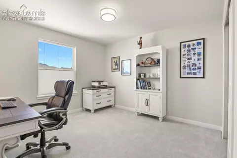 17687 Lemon Rye Loop, Monument, CO 80132 photo 23