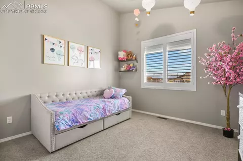 9982 Bracknell Pl, Peyton, CO 80831 photo 9