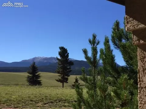 192 Shannon Pl, Divide, CO 80814 photo 14