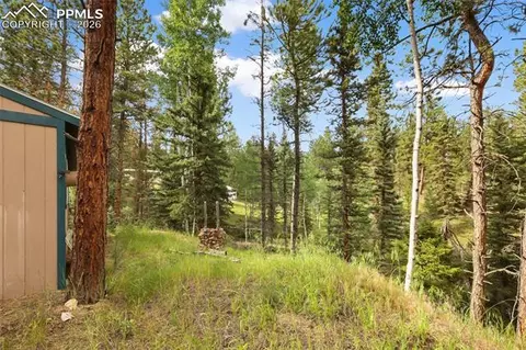 Other - 410 Rangeview Rd, Divide, CO 80814 photo 8 of 13
