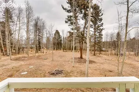 587 Sir Richard Dr, Divide, CO 80814 photo 10