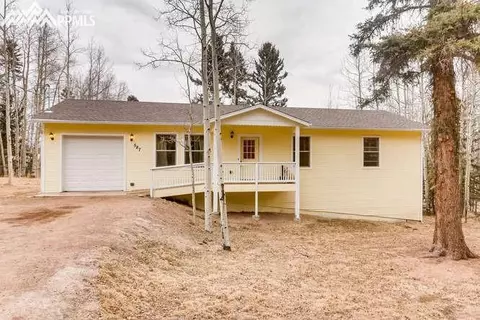 587 Sir Richard Dr, Divide, CO 80814 photo 1