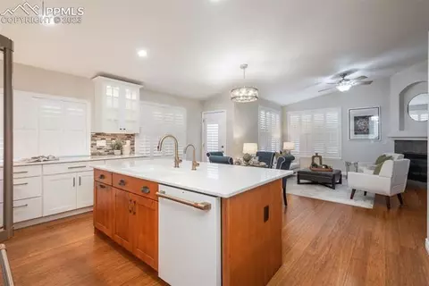 7041 Leopard Gate Na Na, Lone Tree, CO 80124 photo 9