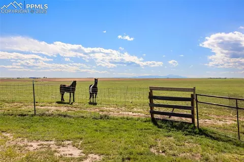 9180 S Rush Rd, Rush, CO 80833 photo 43
