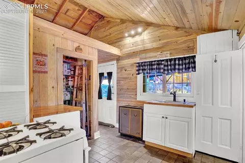 9975 Mesa Rd, Cascade, CO 80809 photo 16