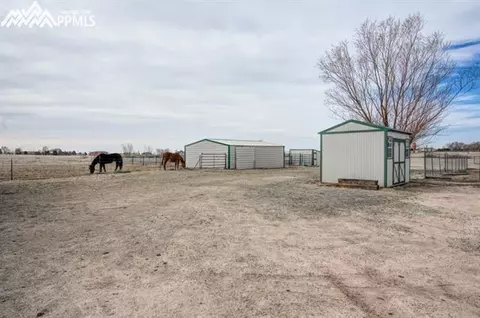 13660 Cottontail Dr, Peyton, CO 80831 photo 22