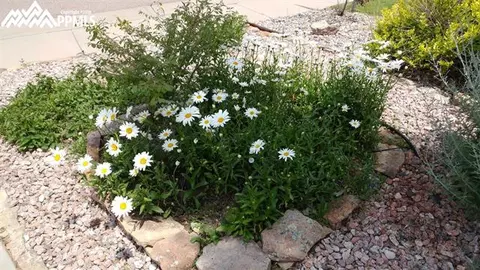 12203 Sleeping Bear Rd, Peyton, CO 80831 photo 2