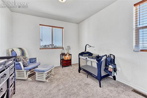10091 Ledgestone Ter, Peyton, CO 80831 photo 25