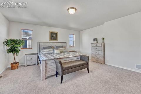 10091 Ledgestone Ter, Peyton, CO 80831 photo 21