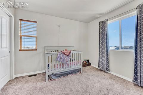 10091 Ledgestone Ter, Peyton, CO 80831 photo 27