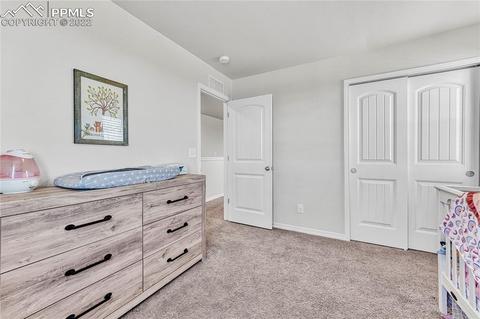 10091 Ledgestone Ter, Peyton, CO 80831 photo 28