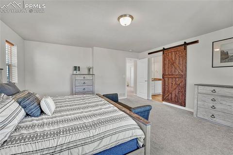 10091 Ledgestone Ter, Peyton, CO 80831 photo 20