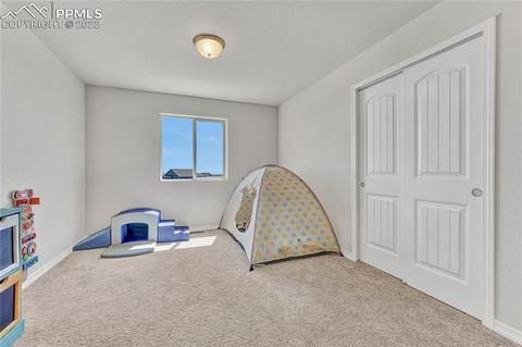 10091 Ledgestone Ter, Peyton, CO 80831 photo 15