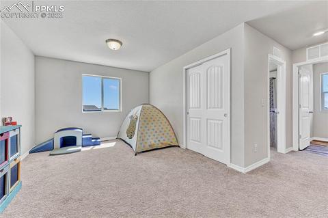 10091 Ledgestone Ter, Peyton, CO 80831 photo 16