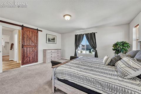 10091 Ledgestone Ter, Peyton, CO 80831 photo 19