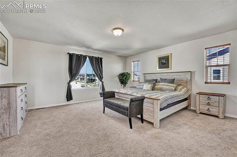 10091 Ledgestone Ter, Peyton, CO 80831 photo 18
