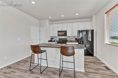 10091 Ledgestone Ter, Peyton, CO 80831 photo 11