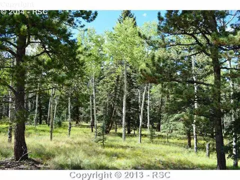 1703 County Road 5 Na Na, Divide, CO 80814 photo 23