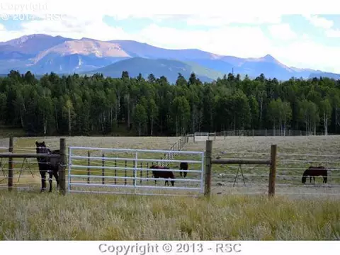 1703 County Road 5 Na Na, Divide, CO 80814 photo 22