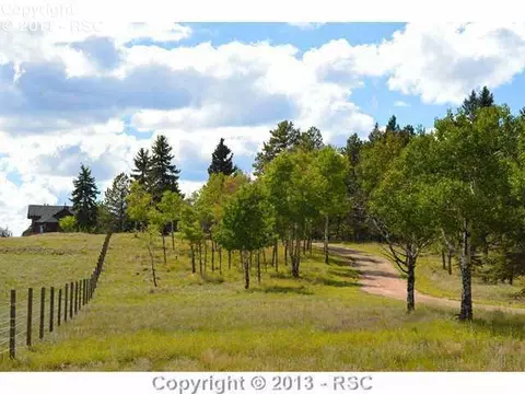 1703 County Road 5 Na Na, Divide, CO 80814 photo 25