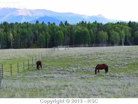 1703 County Road 5 Na Na, Divide, CO 80814 photo 21