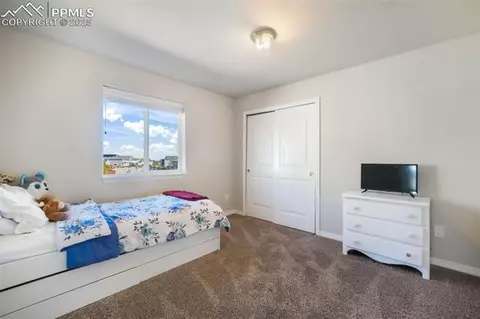 10965 Long Summer Ct, Peyton, CO 80831 photo 36