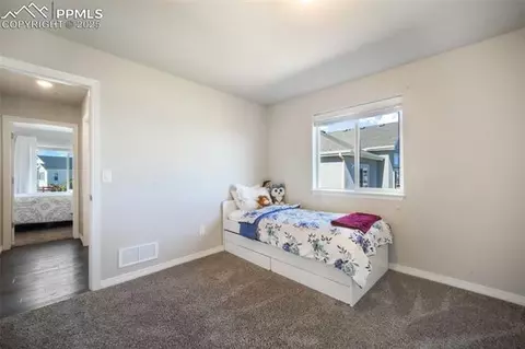 10965 Long Summer Ct, Peyton, CO 80831 photo 26