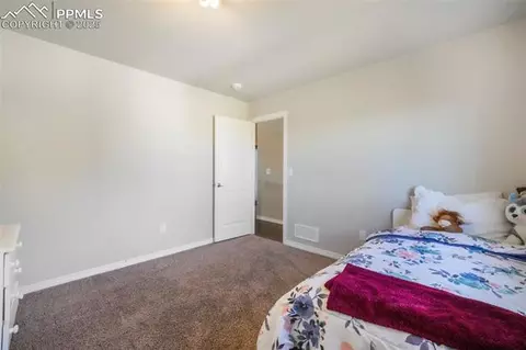 10965 Long Summer Ct, Peyton, CO 80831 photo 27