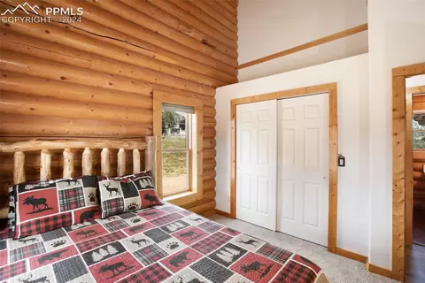 112 Allison Pl, Divide, CO 80814 photo 22