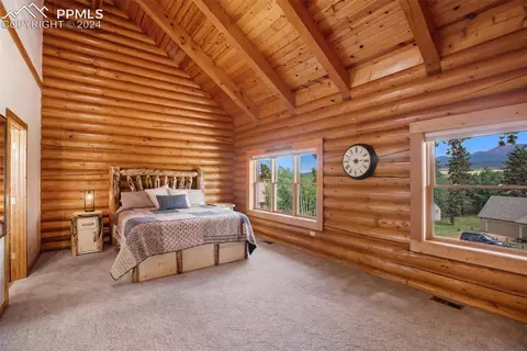 112 Allison Pl, Divide, CO 80814 photo 16