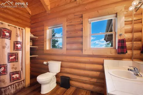 112 Allison Pl, Divide, CO 80814 photo 23