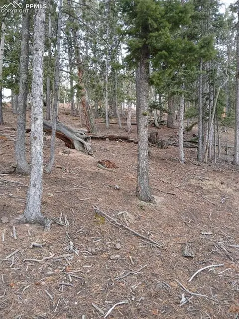 495 Wakanda Trl, Woodland Park, CO 80863