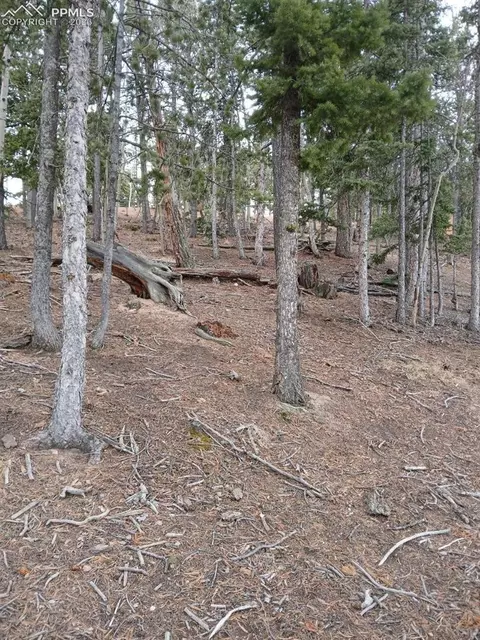 495 Wakanda Trl, Woodland Park, CO 80863