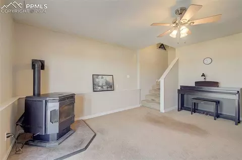 31 Will Stutley Dr, Divide, CO 80814 photo 23