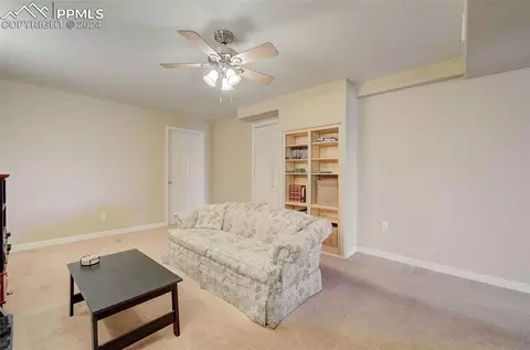 31 Will Stutley Dr, Divide, CO 80814 photo 26